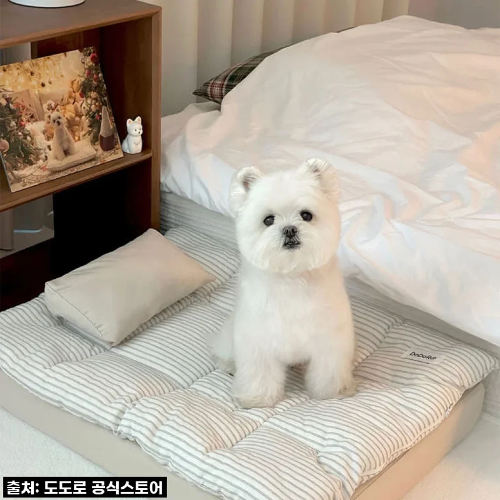 도도로 강아지 침대, 우리 댕댕이 인생템 등극! 푹신함에 반해버렸어요