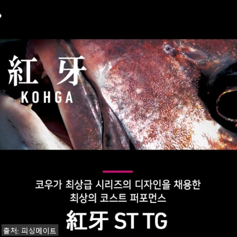 다이와 코우가 ST 타이라바 로드 참 관련 이미지 1
