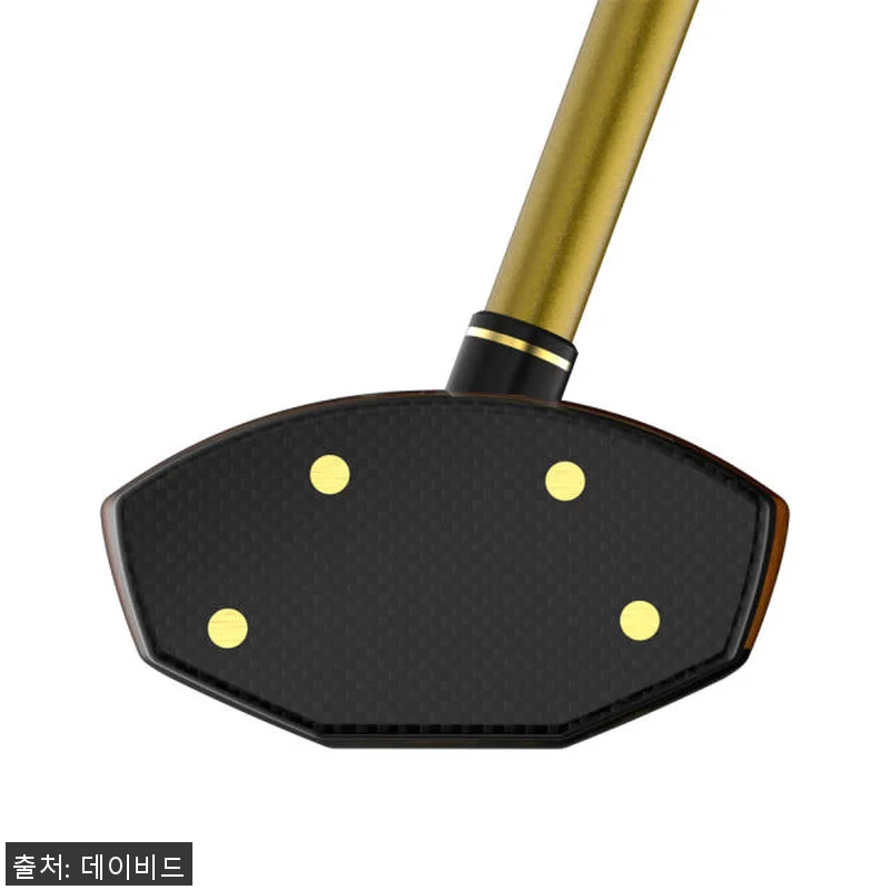 데이비드 감나무 프리미엄 파크골프채 관련 이미지 3