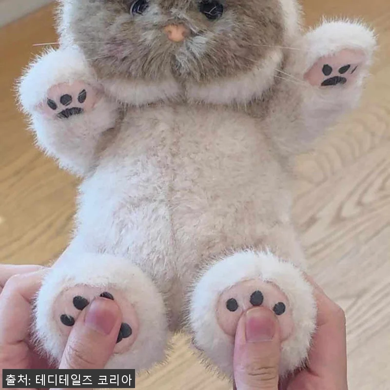 테디테일즈 레나캣 샴 S 고양이 애착 관련 이미지 4