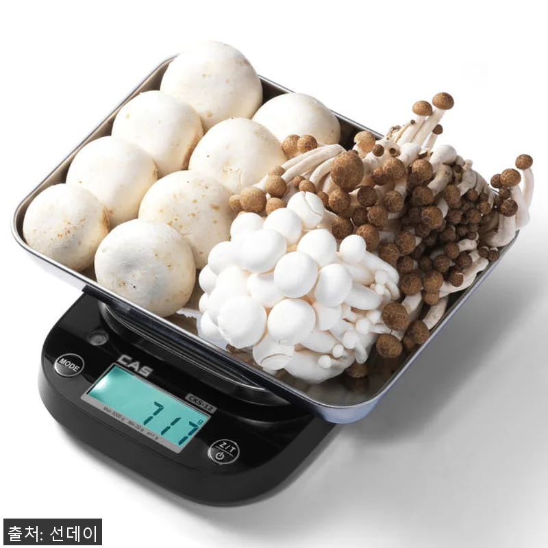 카스 CAS 5kg 충전식 디지털 주 관련 이미지 6