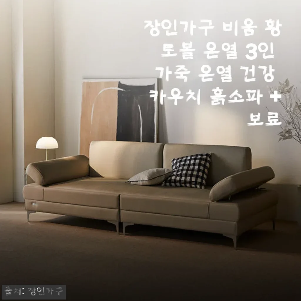장인가구 비움 황토볼 온열 3인 가죽 온열 건강 카우치 흙소파 사용후기