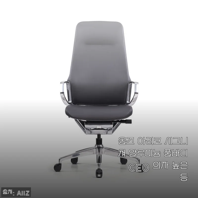 올즈 아리코 시그니쳐 알루미늄 풀바디 CEO 의자 높은등 사용후기