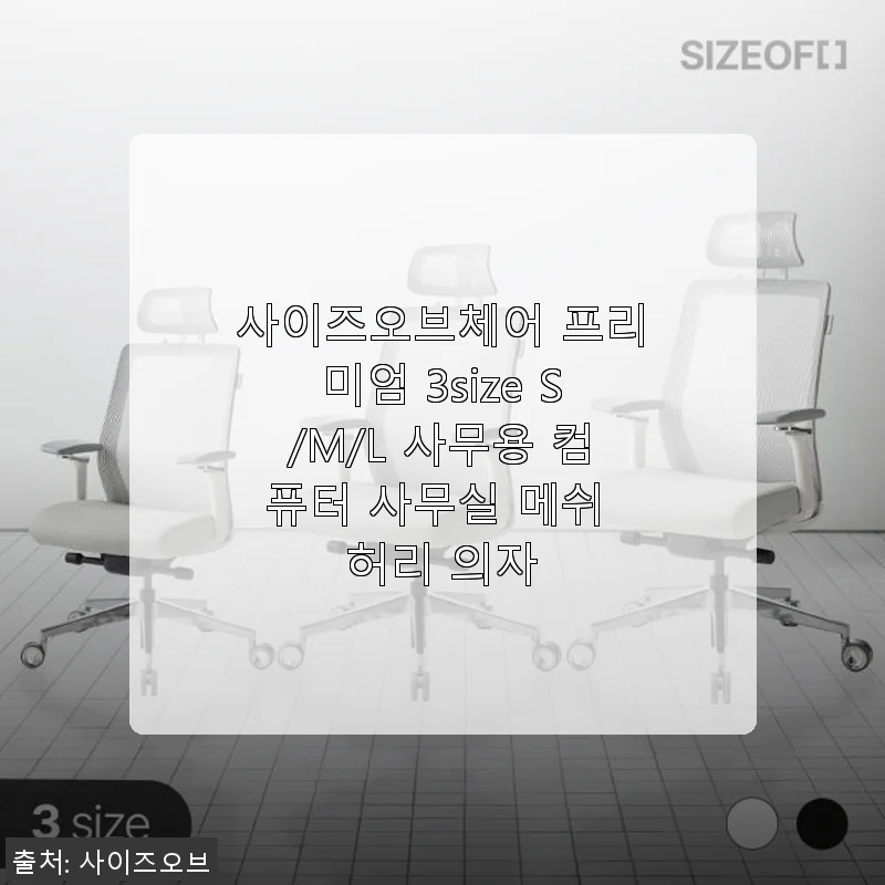 사이즈오브체어 프리미엄 3size S/M/L 사용후기 - 내 몸에 딱 맞는 사무용 의자