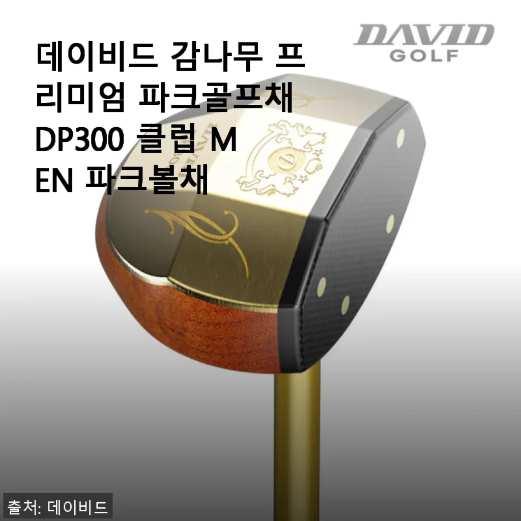 데이비드 감나무 프리미엄 파크골프채 DP300 사용후기 - 부모님 선물로 딱 좋은 선택