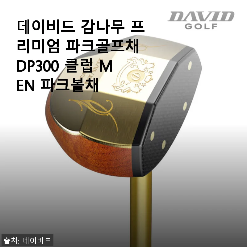 데이비드 감나무 프리미엄 파크골프채 DP300 사용후기 - 부모님 선물로 딱 좋은 선택