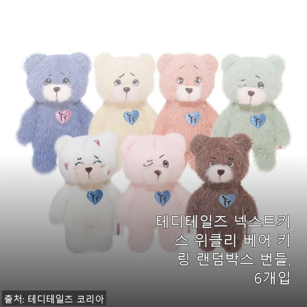 테디테일즈 넥스트키스 위클리 베어 키링 랜덤박스 번들 사용후기