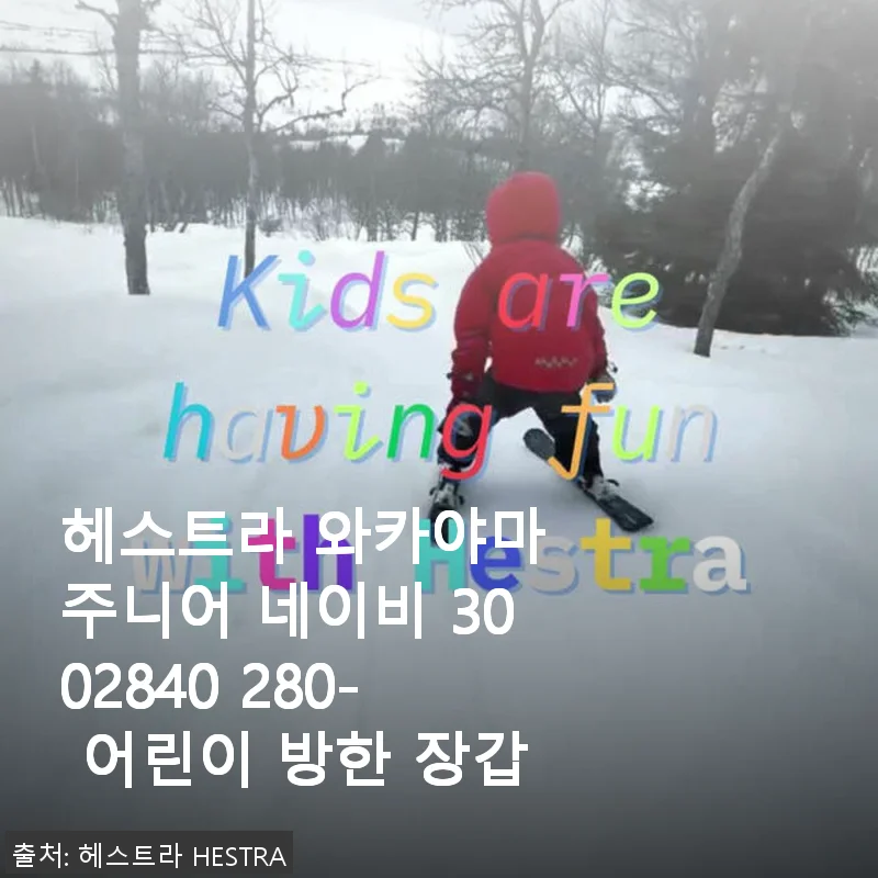 헤스트라 와카야마 주니어 네이비 3002840 280 어린이 방한 장갑 사용후기
