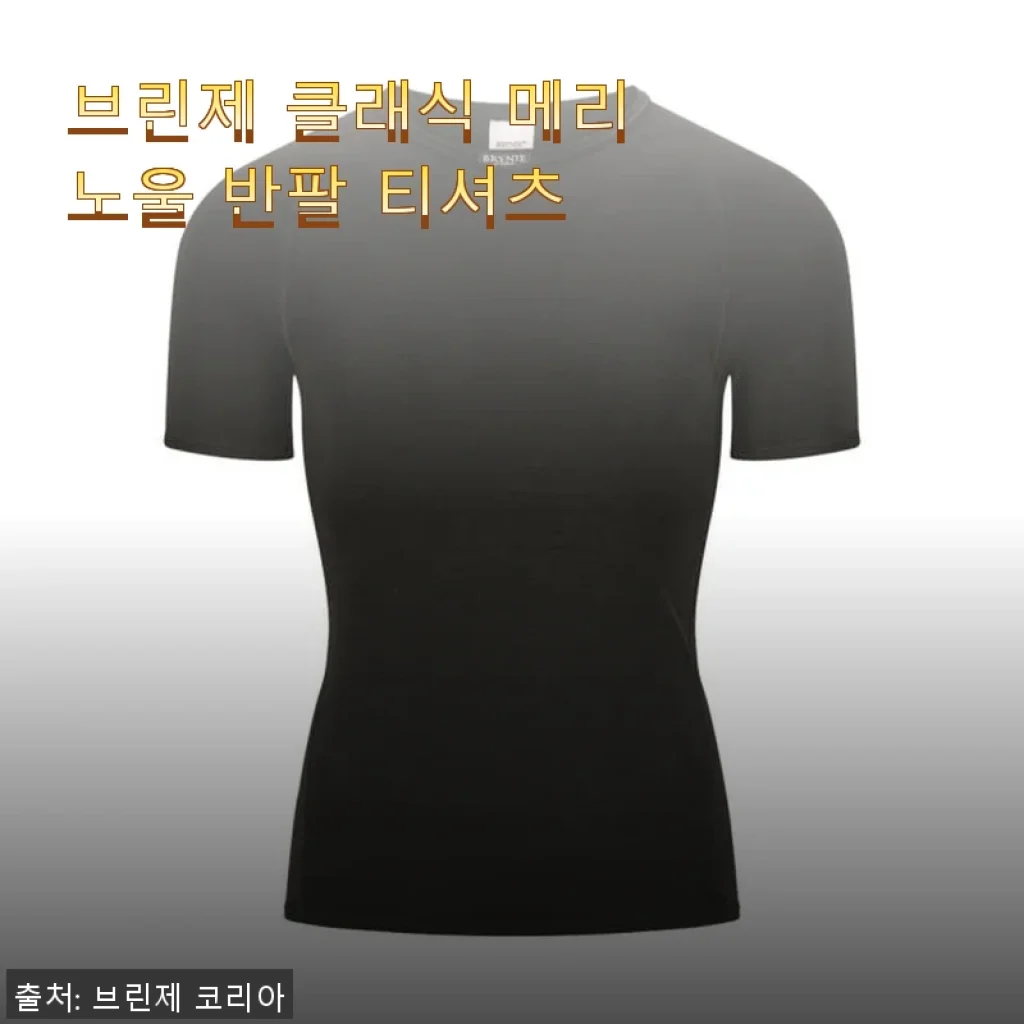 브린제 클래식 메리노울 반팔 티셔츠 사용후기: 고급스러움과 편안함의 완벽한 조화