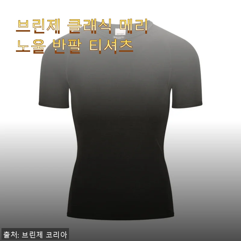 브린제 클래식 메리노울 반팔 티셔츠 사용후기: 고급스러움과 편안함의 완벽한 조화