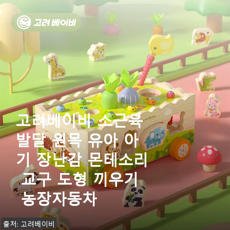 고려베이비 소근육 발달 원목 유아 아기 장난감 몬테소리 교구 사용후기