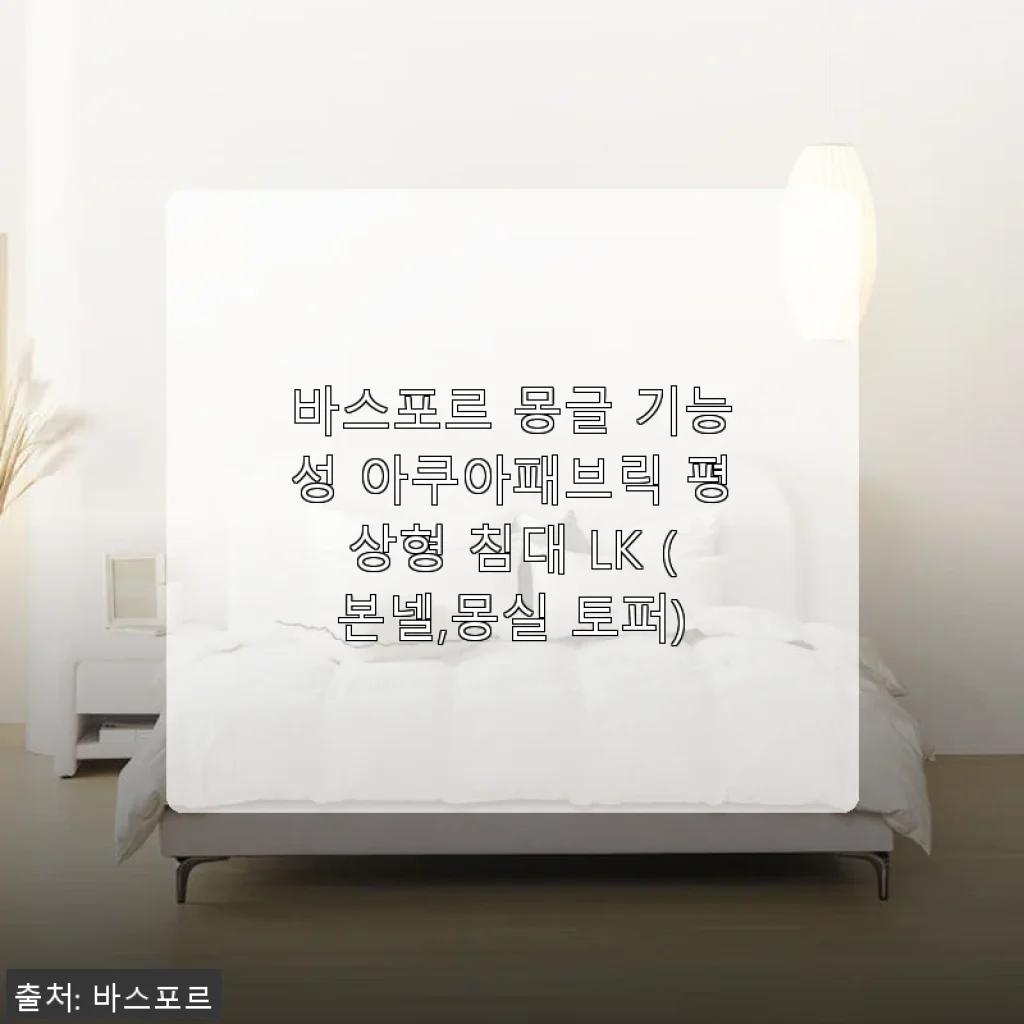 바스포르 몽글 기능성 아쿠아패브릭 평상형 침대 LK 사용 후기와 제품 소개