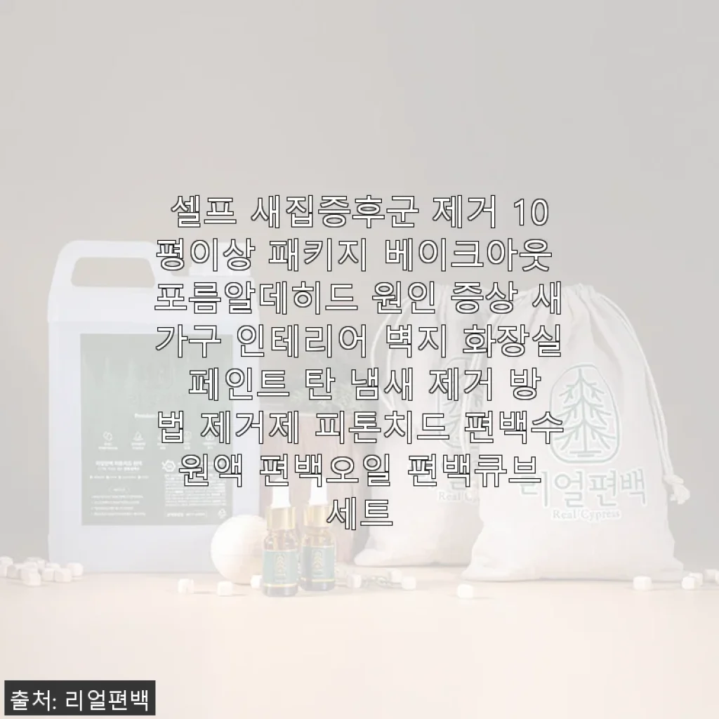 셀프 새집증후군 제거 베이크아웃 패키지 사용후기 - 포름알데히드 걱정 끝!