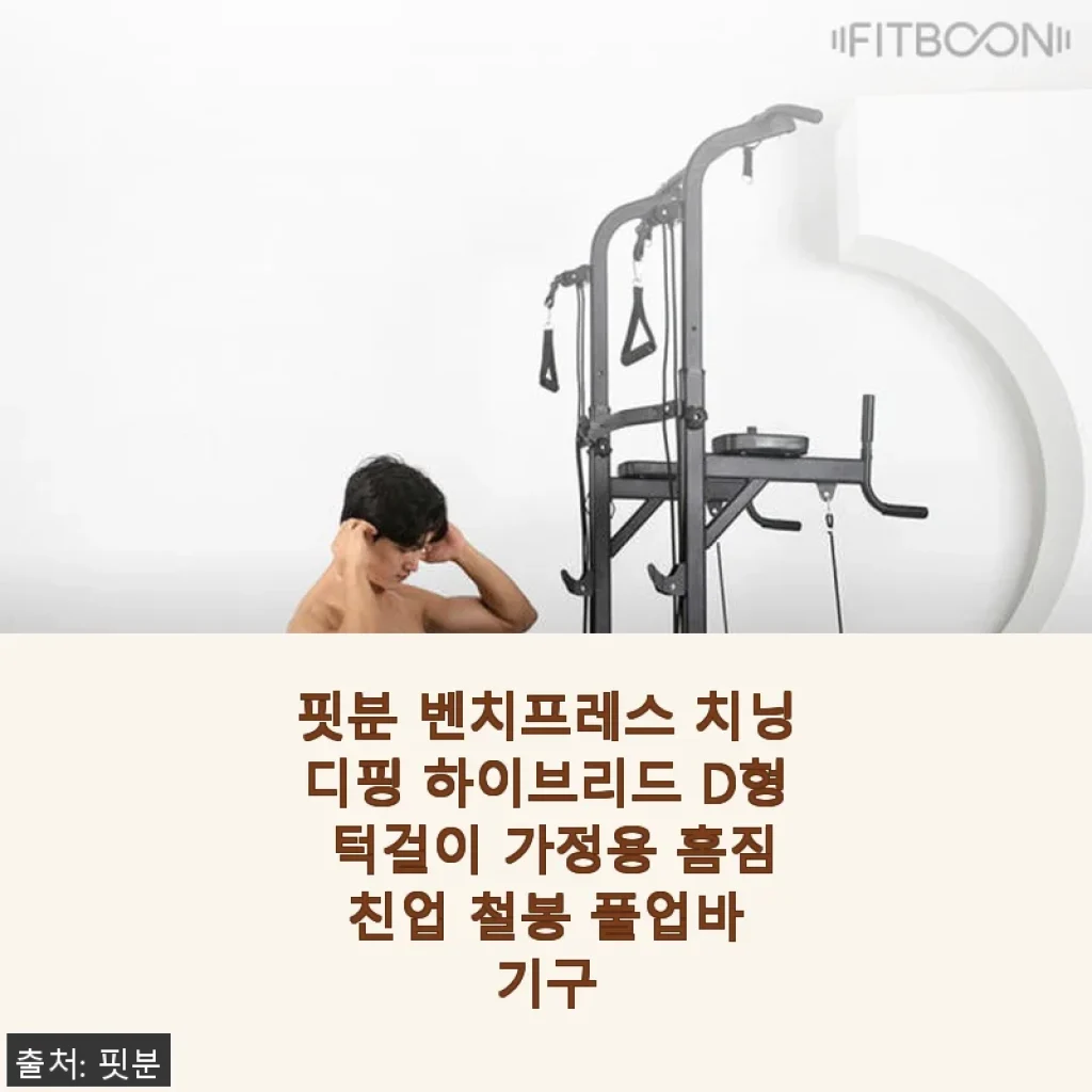 핏분 벤치프레스 치닝디핑 하이브리드 D형 턱걸이 기구 사용 후기