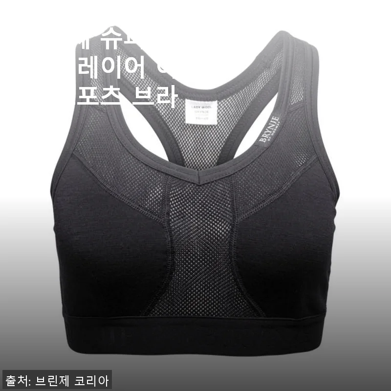 브린제 슈퍼써모 언더레이어 여성 스포츠 브라 탑 사용후기