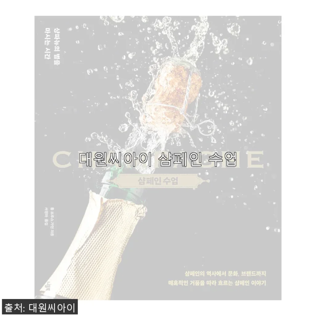 대원씨아이 샴페인 수업, 직접 사용해 본 생생한 후기