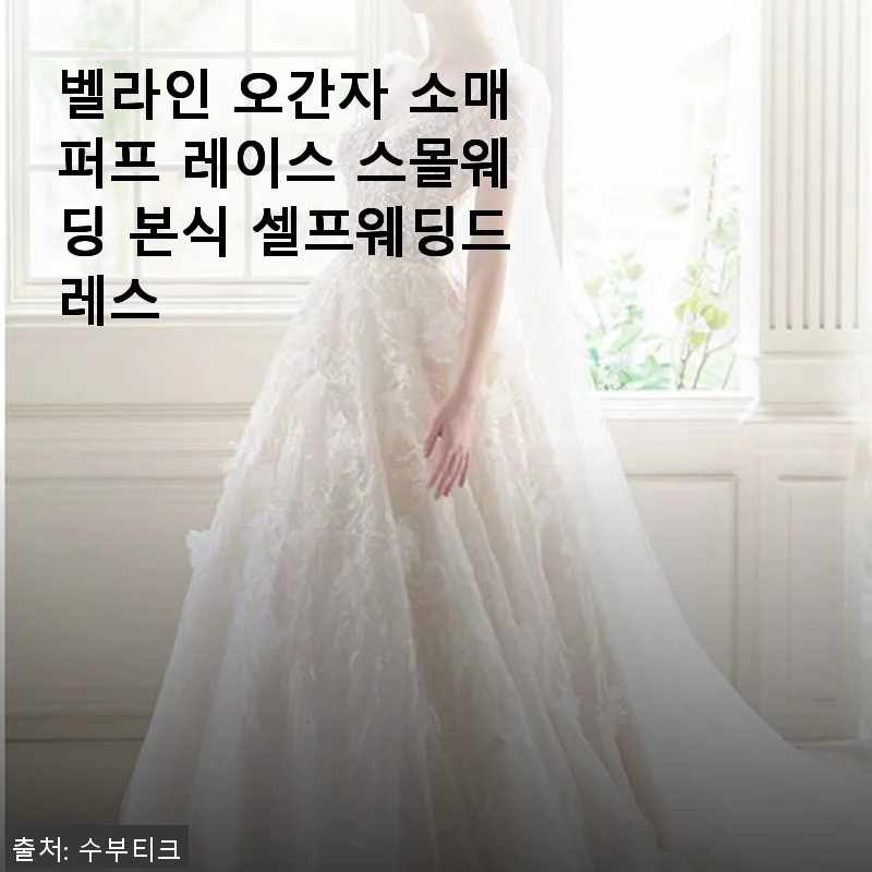 벨라인 오간자 소매퍼프 레이스 스몰웨딩 본식 셀프웨딩드레스 사용후기
