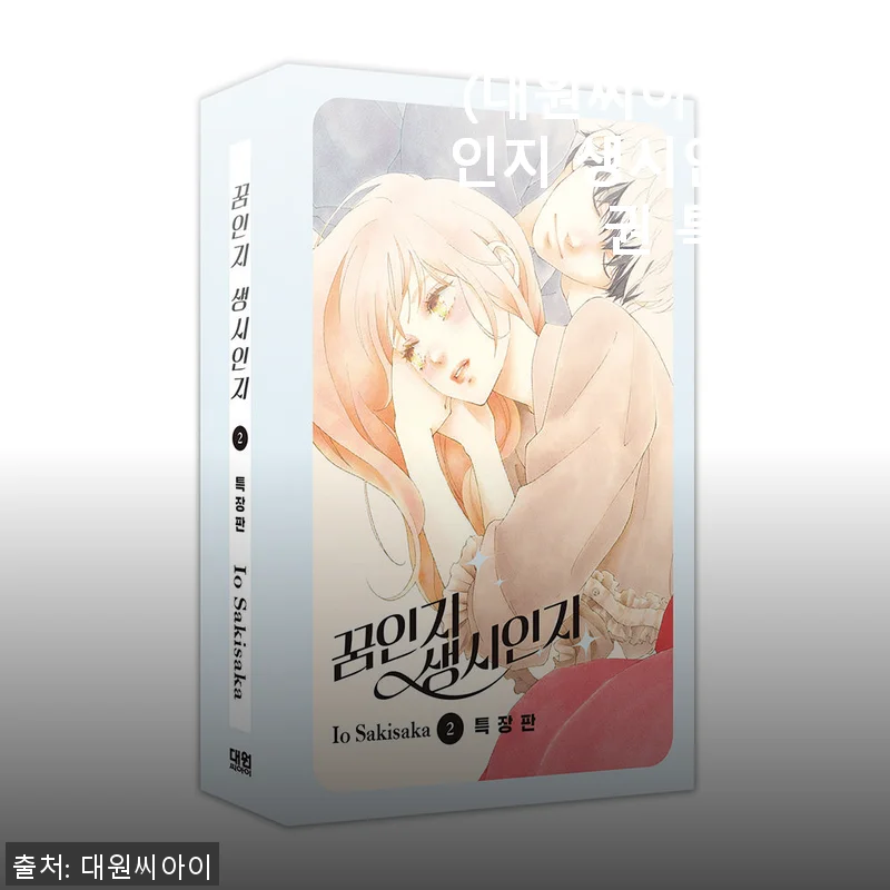 대원씨아이 꿈인지 생시인지 2권 특장판 사용후기