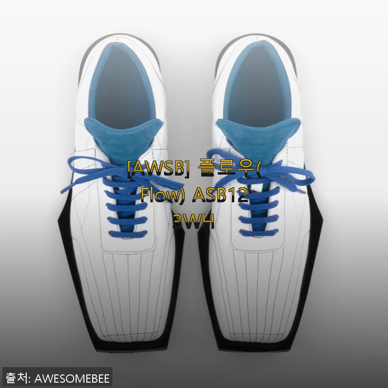 AWSB 플로우(Flow) ASB123WH 사용후기 - 직접 써보니 만족스러운 선택이었어요