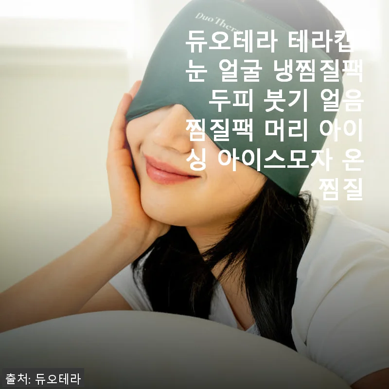 듀오테라 테라캡 냉찜질팩 사용후기, 직접 경험한 효과와 아쉬운 점