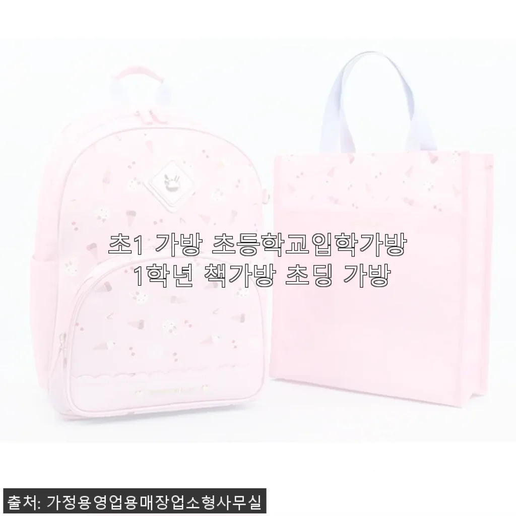 초1 가방 초등학교입학가방 1학년 책가방 초딩 가방 사용후기
