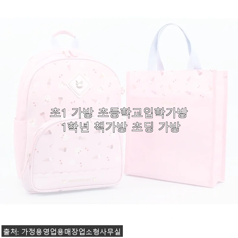 초1 가방 초등학교입학가방 1학년 책가방 초딩 가방 사용후기
