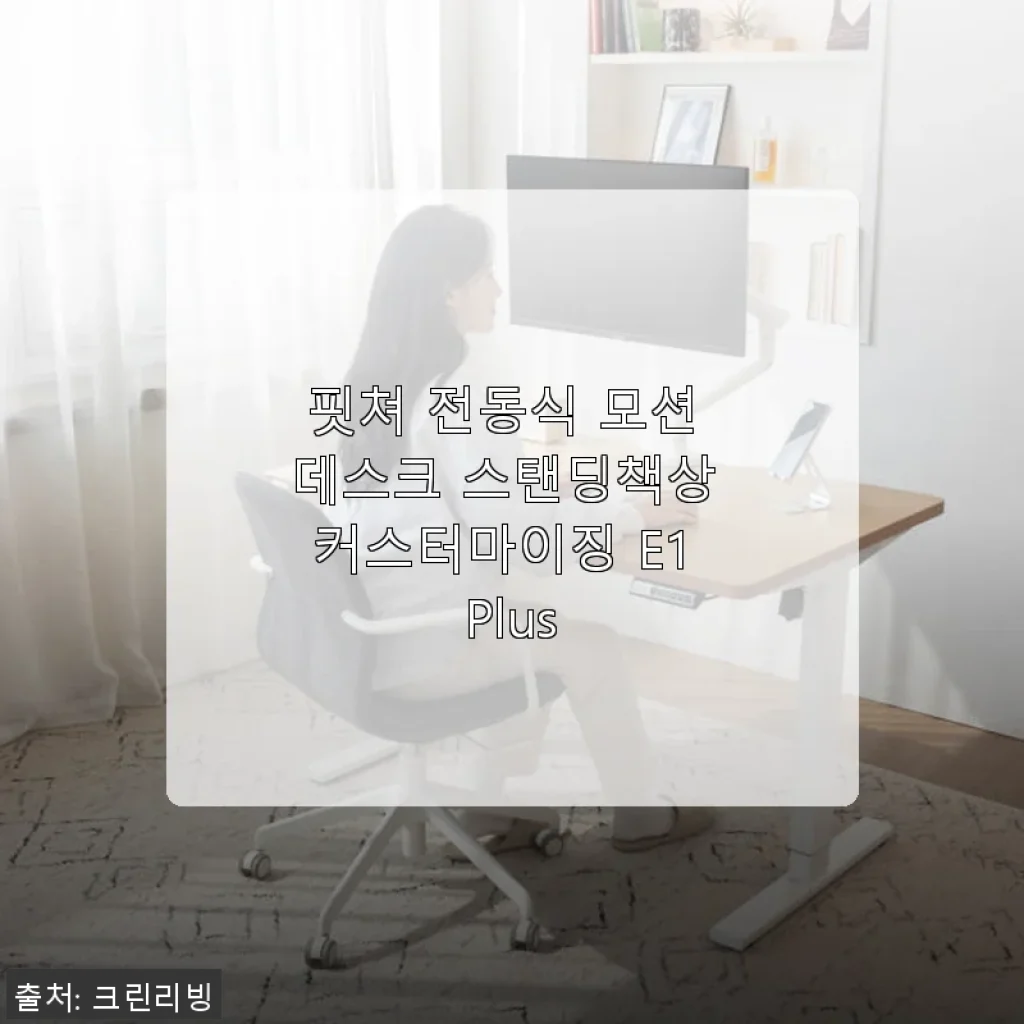 핏쳐 전동식 모션 데스크 스탠딩책상 커스터마이징 E1 Plus 사용 후기