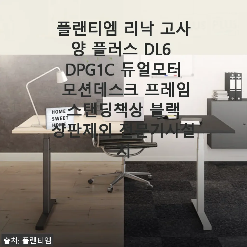 플랜티엠 리낙 고사양 플러스 DL6 DPG1C 모션데스크 사용 후기