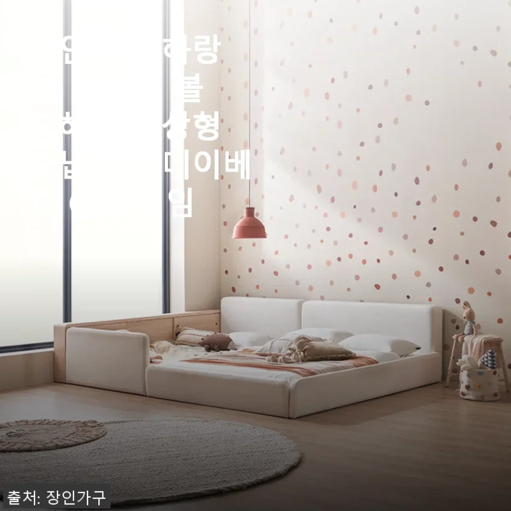 장인가구 하랑 E0 패브릭 볼드헤드 저상형 수납가드 데이베드 Q 프레임 사용후기