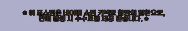 미즈노 수경 엑셀아이 노패킹 미러렌즈 N3XEC081 02 사용후기 4 이해관계문구