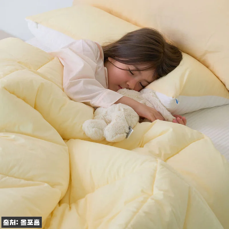 올포홈 비스킷 모달 차렵이불 사용후기 관련 이미지 1
