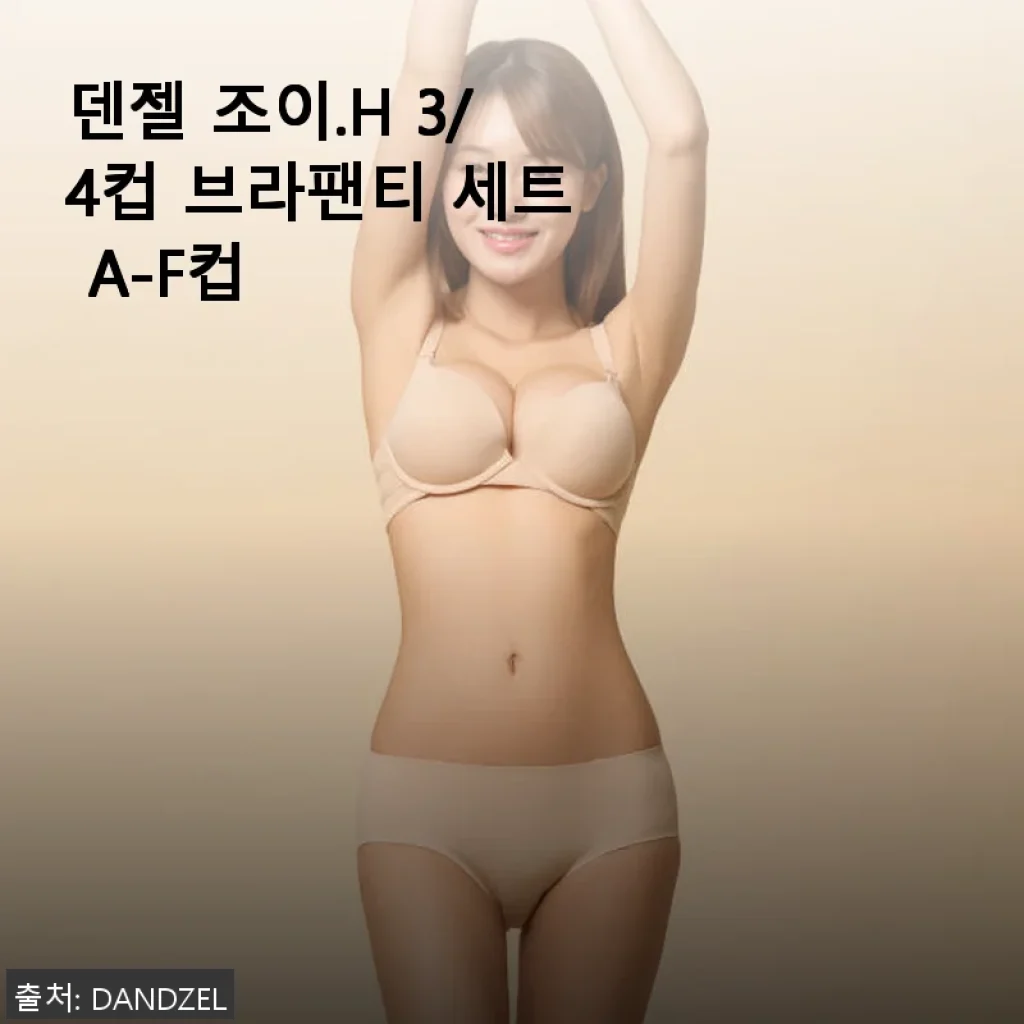 덴젤 조이.H 3/4컵 브라팬티 세트 A-F컵 사용 후기