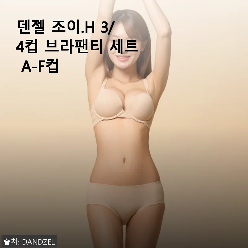 덴젤 조이.H 3/4컵 브라팬티 세트 A-F컵 사용 후기
