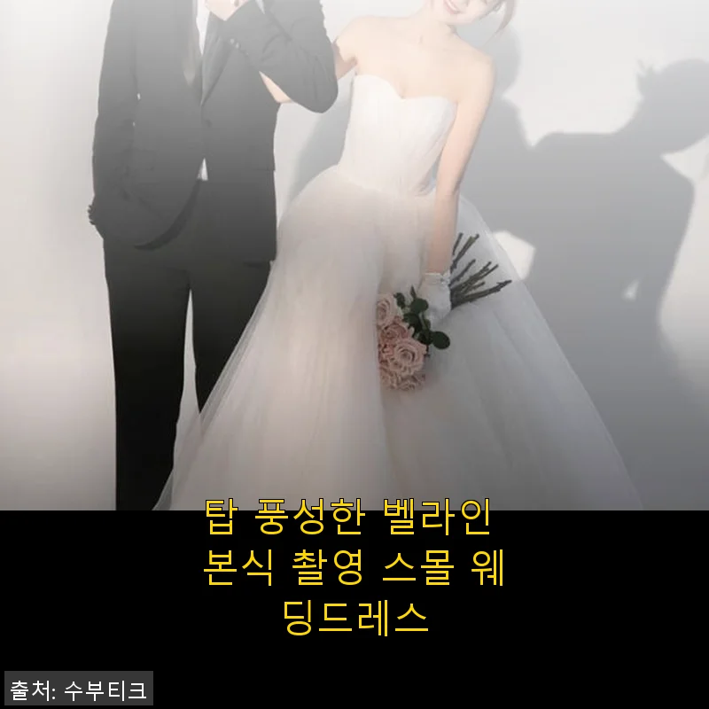 탑 풍성한 벨라인 본식 촬영 스몰 웨딩드레스 사용후기