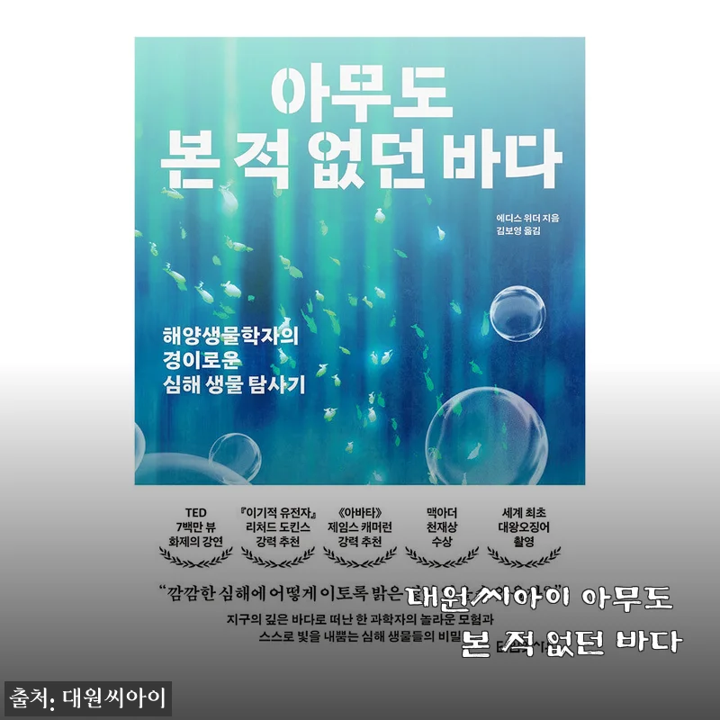 대원씨아이 아무도 본 적 없던 바다 - 직접 사용해본 감상과 상세 소개