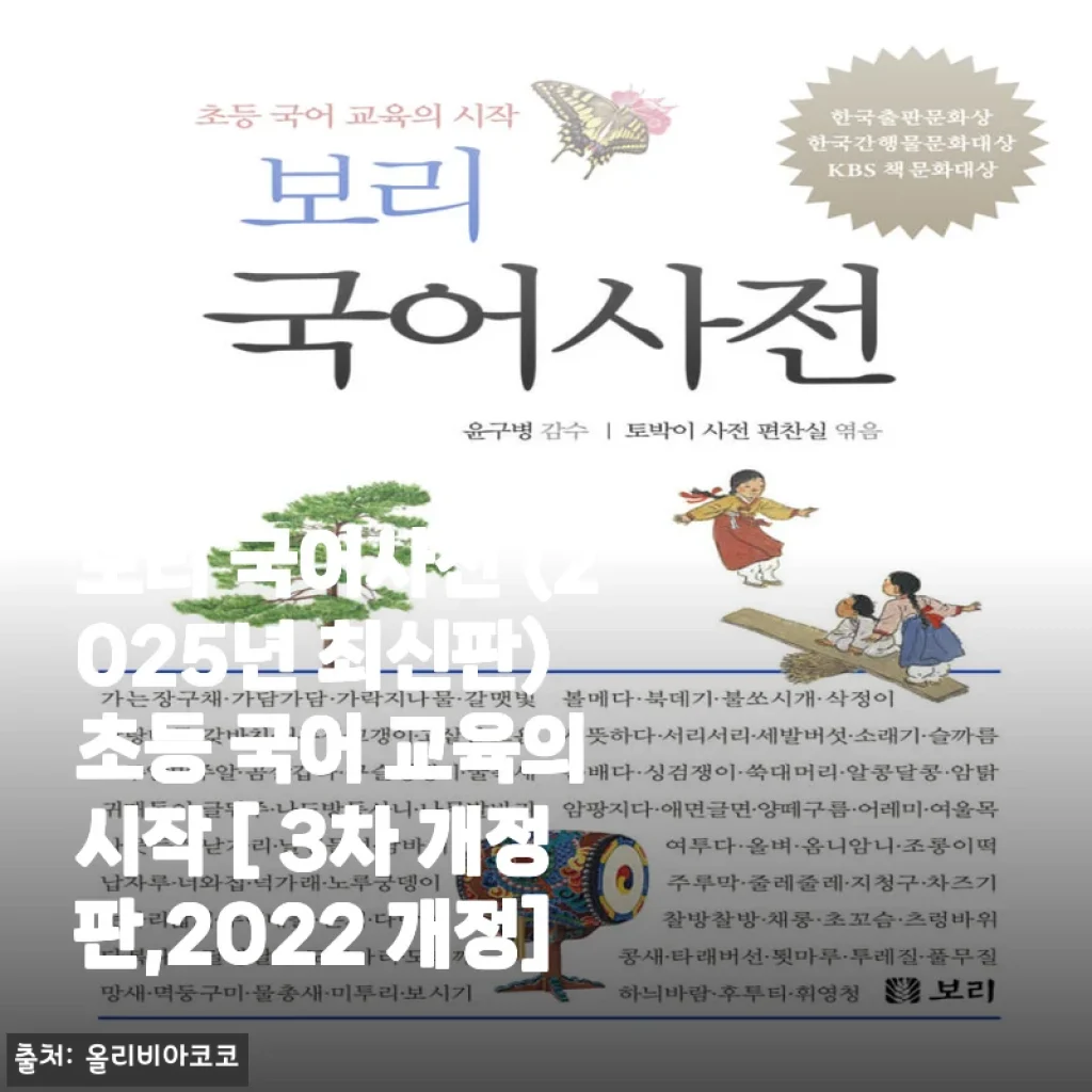 보리 국어사전 (2025년 최신판) 사용후기 및 제품소개