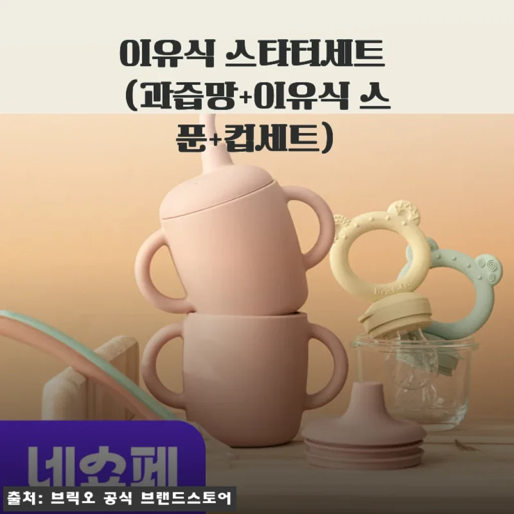 브릭오 이유식 스타터세트 사용 후기와 추천 이유