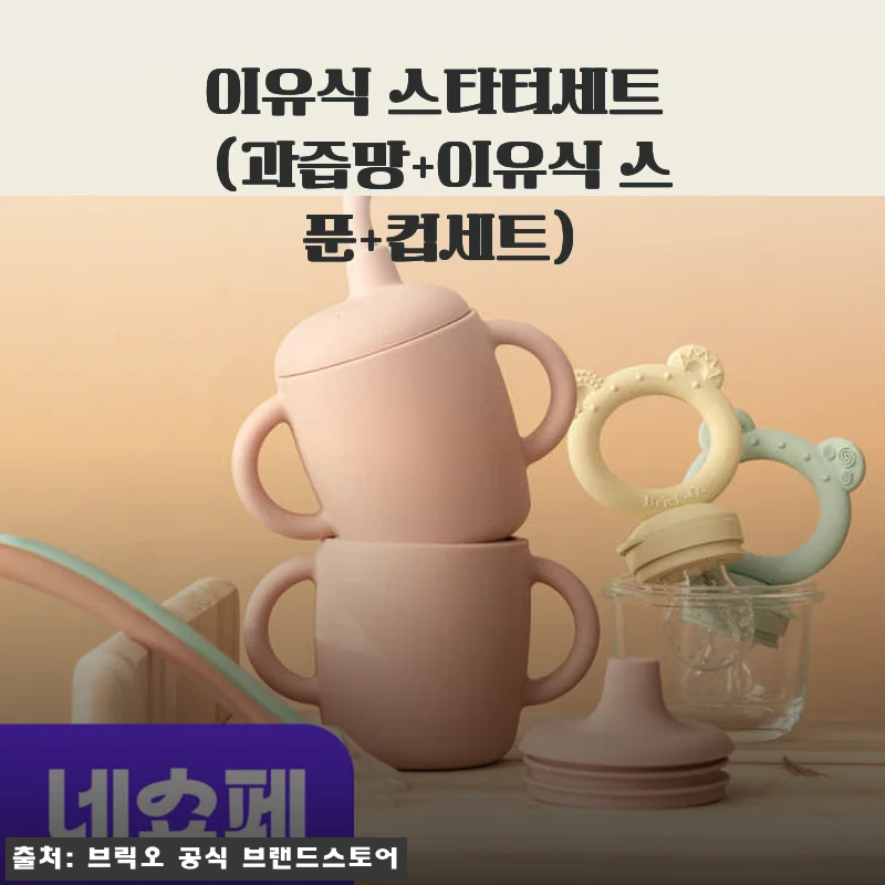 브릭오 이유식 스타터세트 사용 후기와 추천 이유