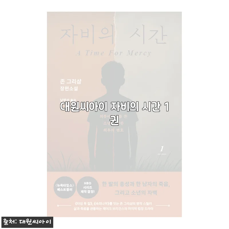 대원씨아이 자비의 시간 1권 사용후기 및 제품소개