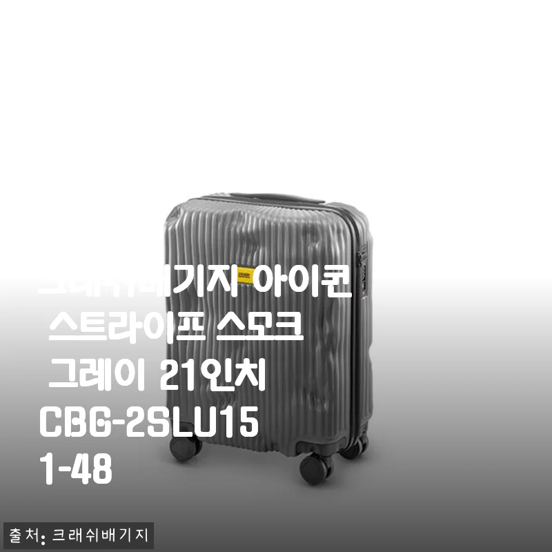 크래쉬배기지 아이콘 스트라이프 스모크 그레이 21인치 사용후기