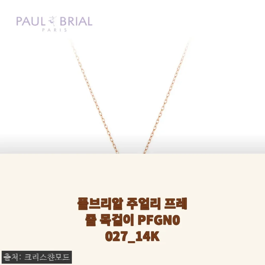 폴브리알 주얼리 프레즐 목걸이 PFGN0027_14K 사용후기