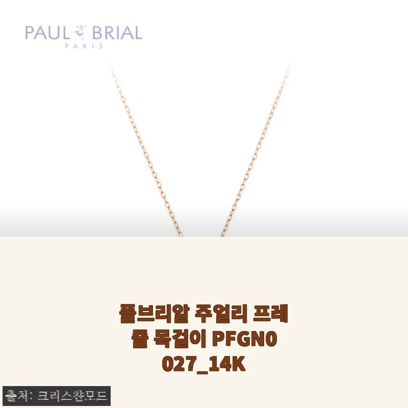 폴브리알 주얼리 프레즐 목걸이 PFGN0027_14K 사용후기
