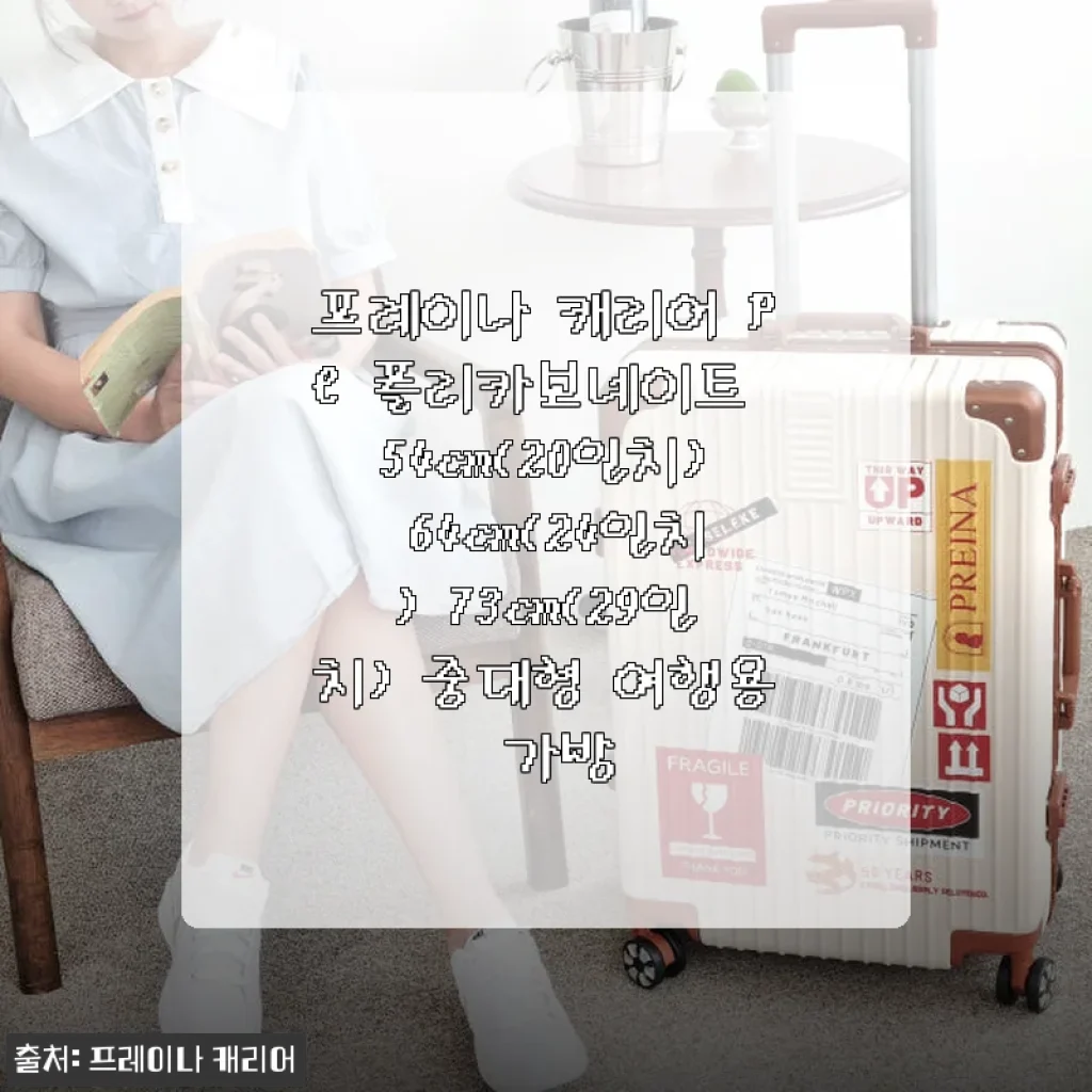 프레이나 캐리어 PC 폴리카보네이트 여행용 가방 사용 후기