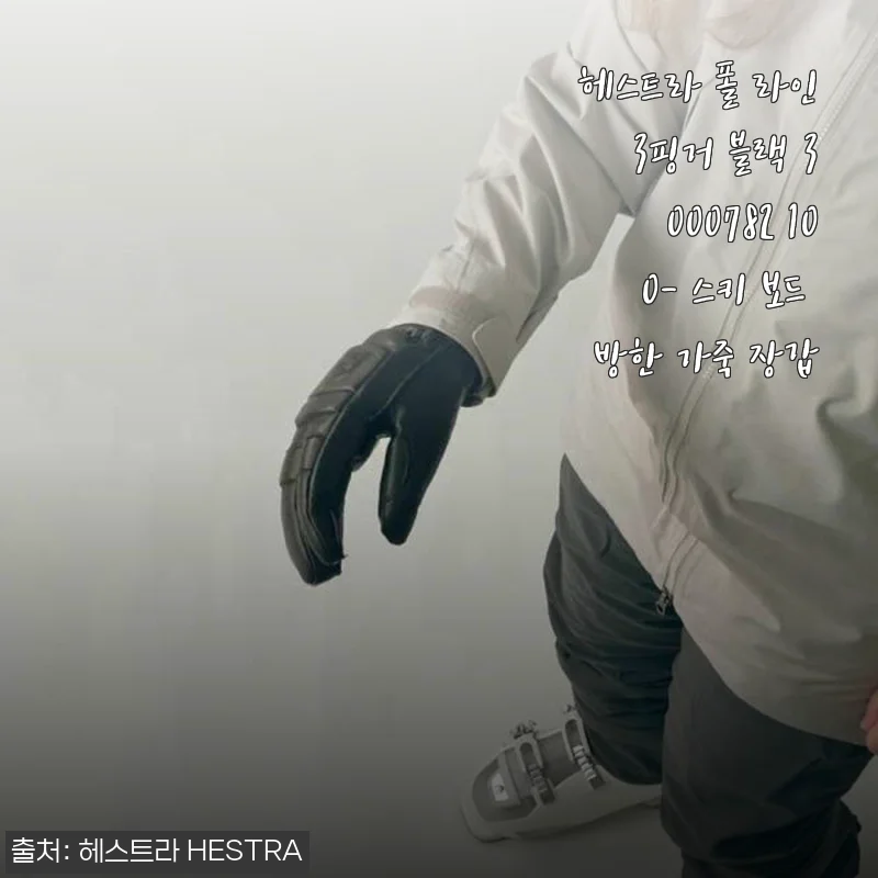 헤스트라 폴 라인 3핑거 블랙 3000782 100 스키 보드 방한 가죽 장갑 사용 후기