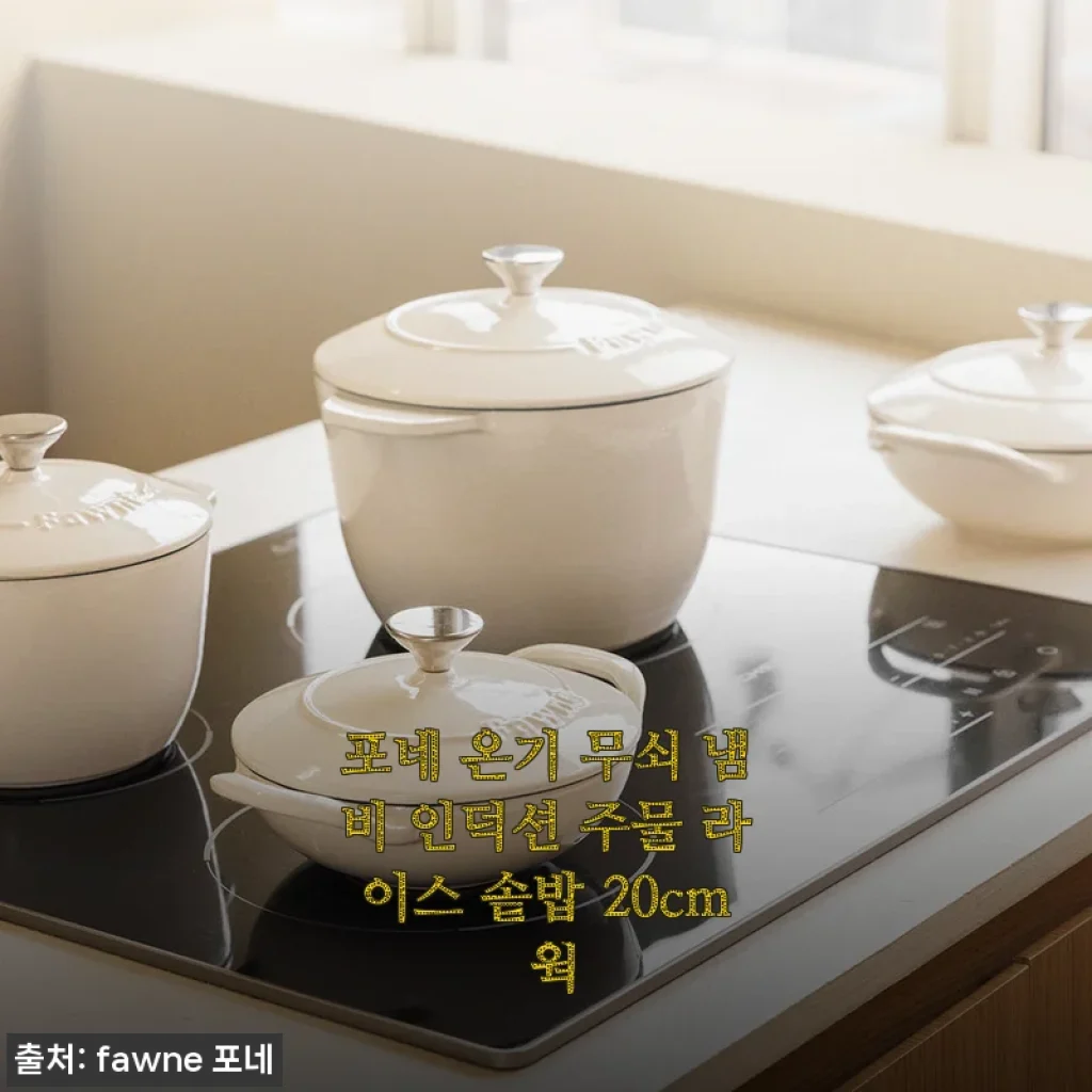 포네 온기 무쇠 냄비 인덕션 주물 라이스 솥밥 20cm 웍 사용후기