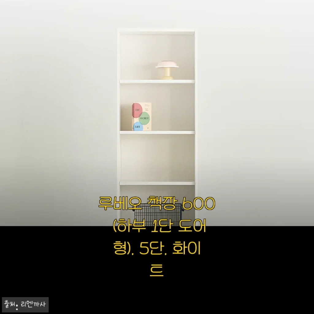 루베오 책장 600 하부 1단 도어형 5단 화이트 사용후기
