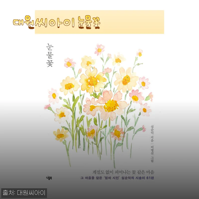 대원씨아이 눈물꽃 구매 후기 및 제품 소개