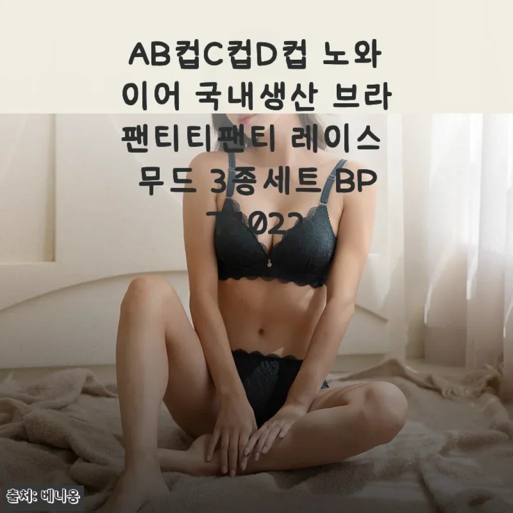 AB컵C컵D컵 노와이어 국내생산 브라팬티티팬티 레이스 무드 3종세트 BPT1022 사용후기