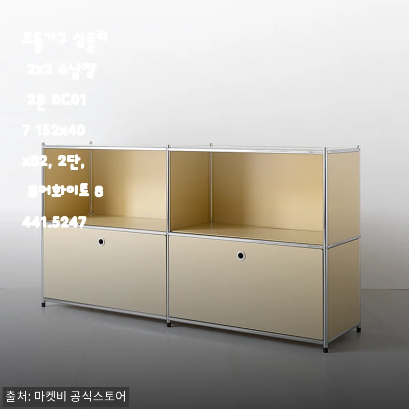 모듈가구 심플리 2x2 수납장 2문 BC017 퓨어화이트, 직접 써보니 집안 분위기 환해지고 안전성도 만족스러워요