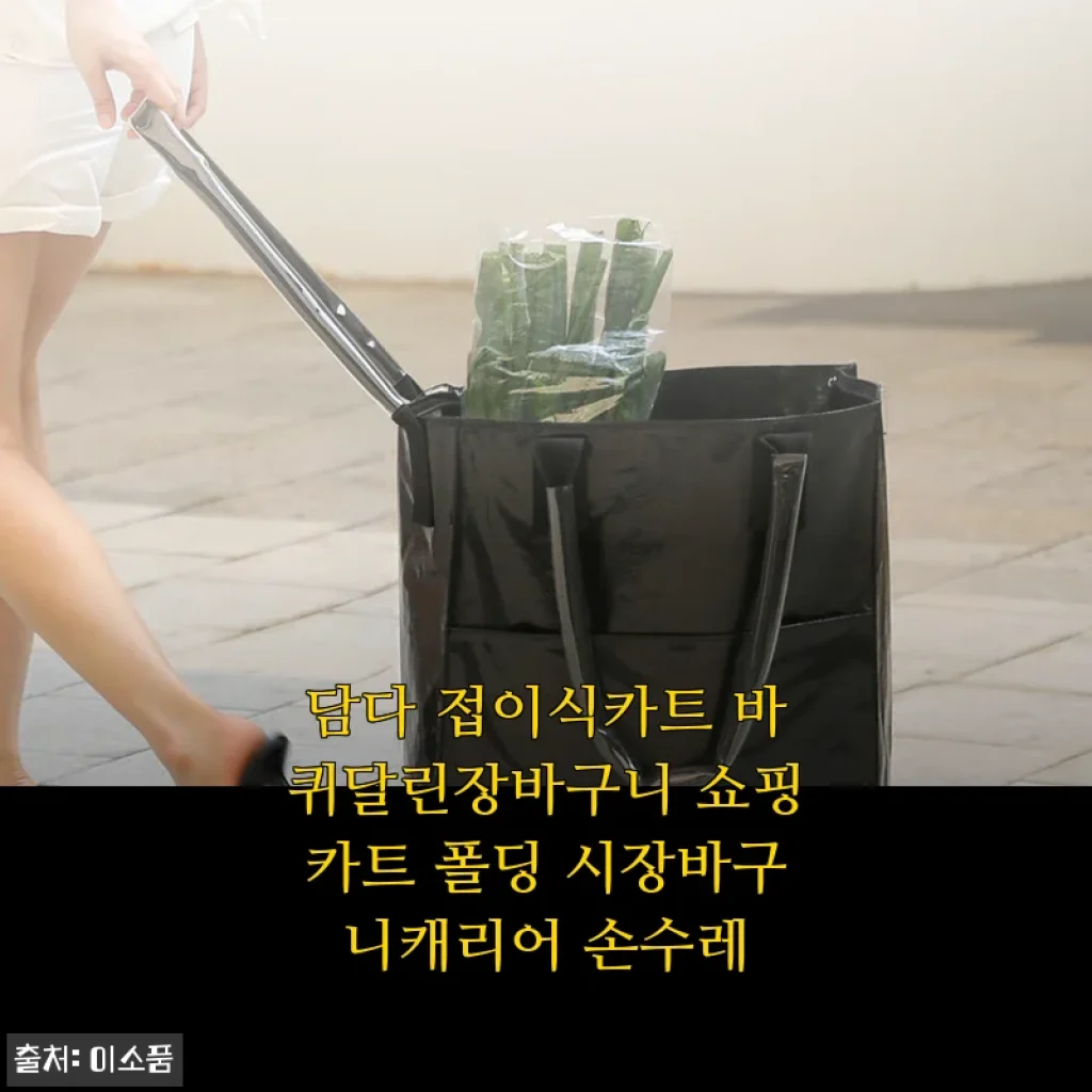 담다 접이식카트 바퀴달린장바구니 쇼핑카트 사용후기 - 실용성과 디자인 모두 만족!